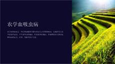 《农学血吸虫病》课件