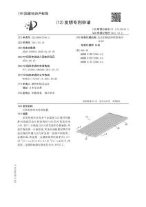 片状发热体及发热装置