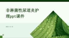 非淋菌性尿道炎护理ppt课件