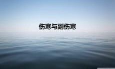 伤寒与副伤寒.ppt