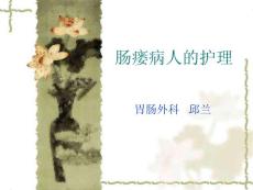 肠瘘病人的护理
