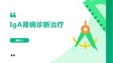 IgA肾病诊断治疗