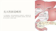 《先天性胆道畸形》课件