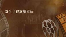 新生儿解脲脲原体