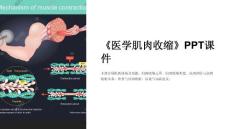 《医学肌肉收缩》课件