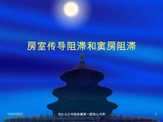 房室传导阻滞与窦房传导阻滞课件