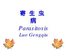 寄生虫病课件
