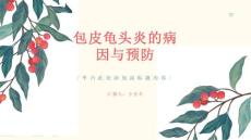 包皮龟头炎的病因与预防