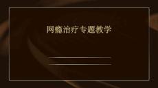 网瘾治疗专题教学