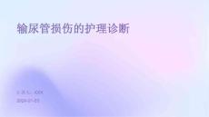 输尿管损伤的护理诊断ppt