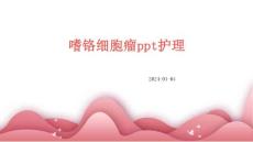 嗜铬细胞瘤ppt护理