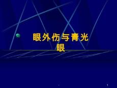 眼外伤与青光眼课件