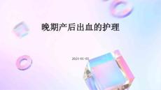 晚期产后出血的护理ppt