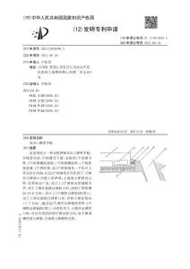 双出口弹匣手枪