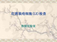 红斑狼疮检查ppt课件
