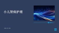 小儿肾病护理ppt
