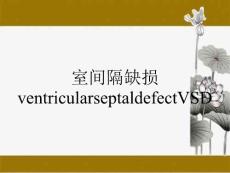 室间隔缺损ventricularseptaldefectVSD