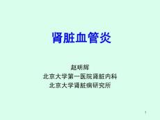 肾脏血管炎-病理课件