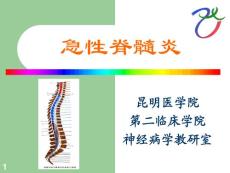 急性脊髓炎-课件