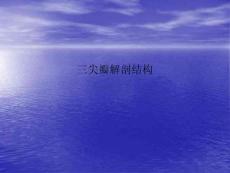 三尖瓣解剖结构