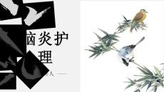 脑炎护理