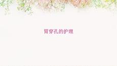 胃穿孔的护理ppt