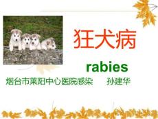 狂犬病课件