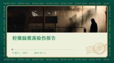 轻微脑震荡验伤报告
