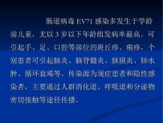 肠道病毒EV71感染诊疗指标版.ppt