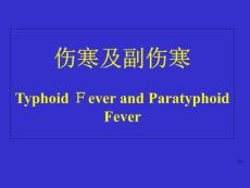 《伤寒及副伤寒》课件
