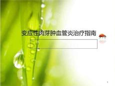 变应性肉芽肿血管炎治疗指南ppt课件