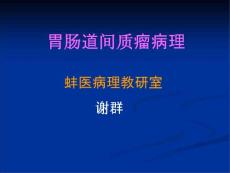 胃肠道间质瘤解读课件