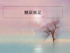 《糖尿病足》课件