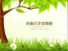 妊娠合并宫颈癌课件