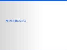 颅内静脉窦血栓形成通用课件