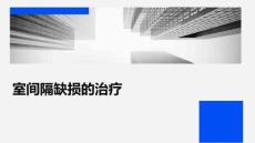 室间隔缺损的治疗