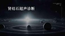 肾结石超声诊断