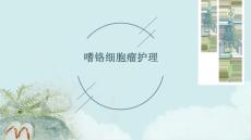 嗜铬细胞瘤护理ppt