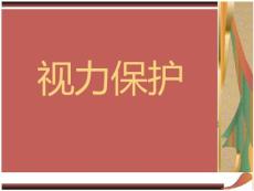 一、视力及视力障碍-全文可读