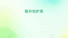 眼外伤护理ppt