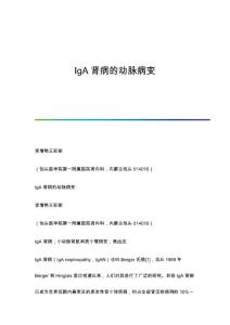 IgA肾病的动脉病变