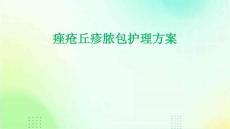 痤疮丘疹脓包护理方案PPT