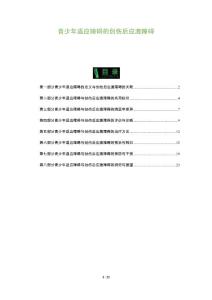 青少年适应障碍的创伤后应激障碍