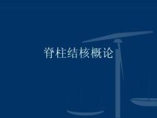脊柱结核概论ppt课件