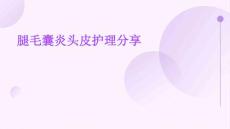 腿毛囊炎头皮护理分享ppt