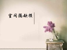 室间隔缺损ppt课件