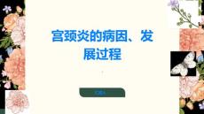 宫颈炎认识宫颈炎的病因和发展过程