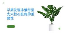 早期发现非紫绀型先天性心脏病的重要性