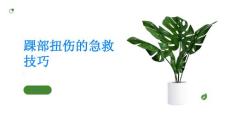 踝部扭伤的急救技巧关键时刻能派上用场