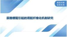 尿路梗阻引起的肾脏纤维化机制研究